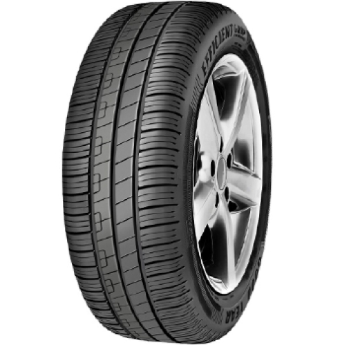 GOODYEAR EfficientGrip Performance 205/55 R16 91V FI DOT2023