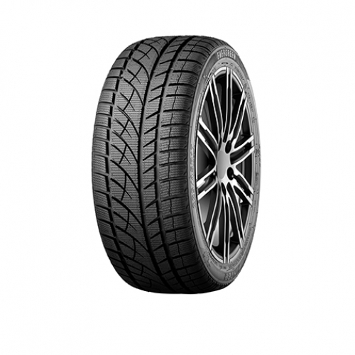 Evergreen EW66 255/40R19 100V