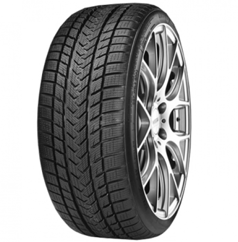 GRIPMAX Pro Winter 205/55 R19 97V DOT2020