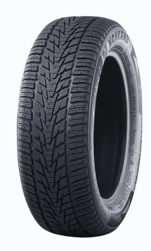 NANKANG WINTER ACTIVA SV-4 255/35 R21 98W XL