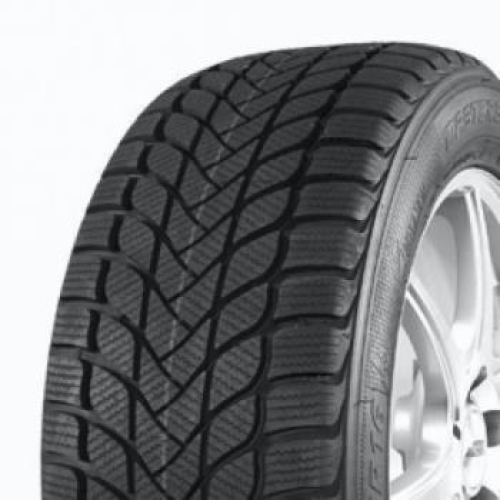 Master Steel WINTER PLUS 1 IS-W 215/50 R17 95H