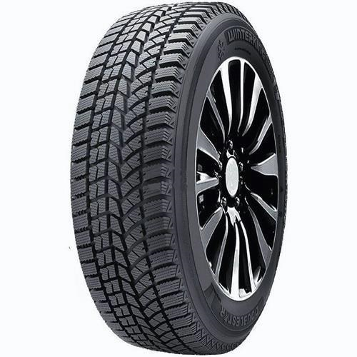 Double Star WINTERKING DW02 225/45 R17 90T